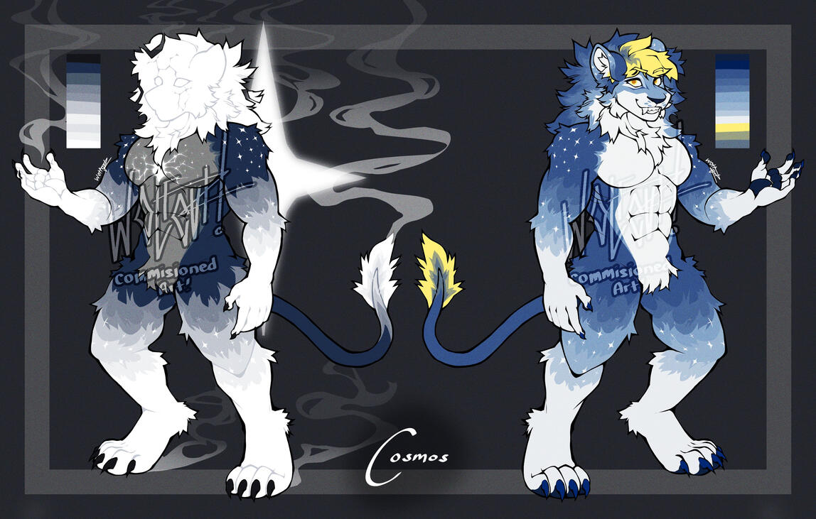 Cosmos Mirrored Reference Sheet Cosmos Mirrored Reference Sheet